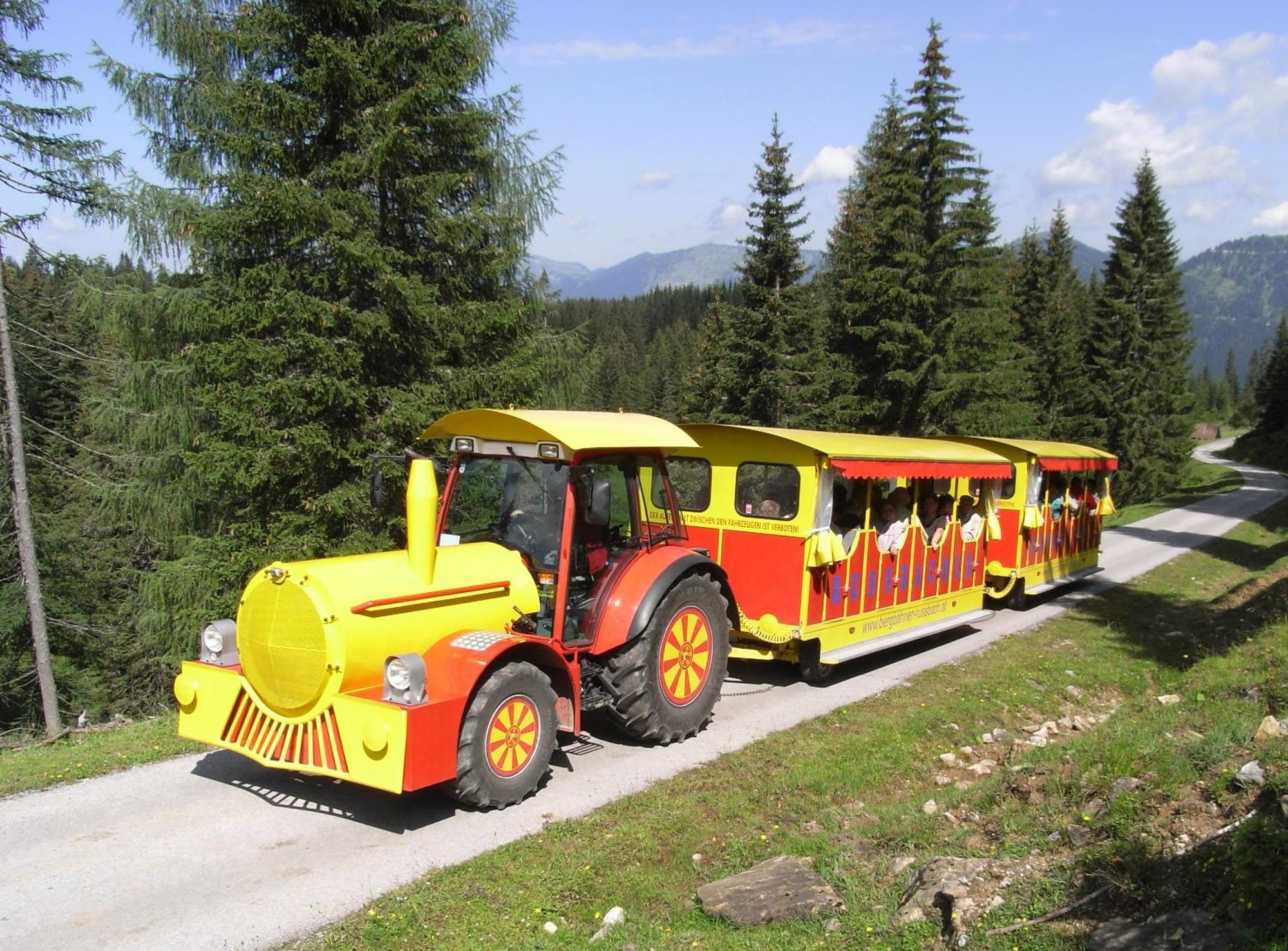 Dachstein West Hotel Gmbh-Kirchenwirt Russbach รุสบาค อัม พาสเกอชุตต์ ภายนอก รูปภาพ